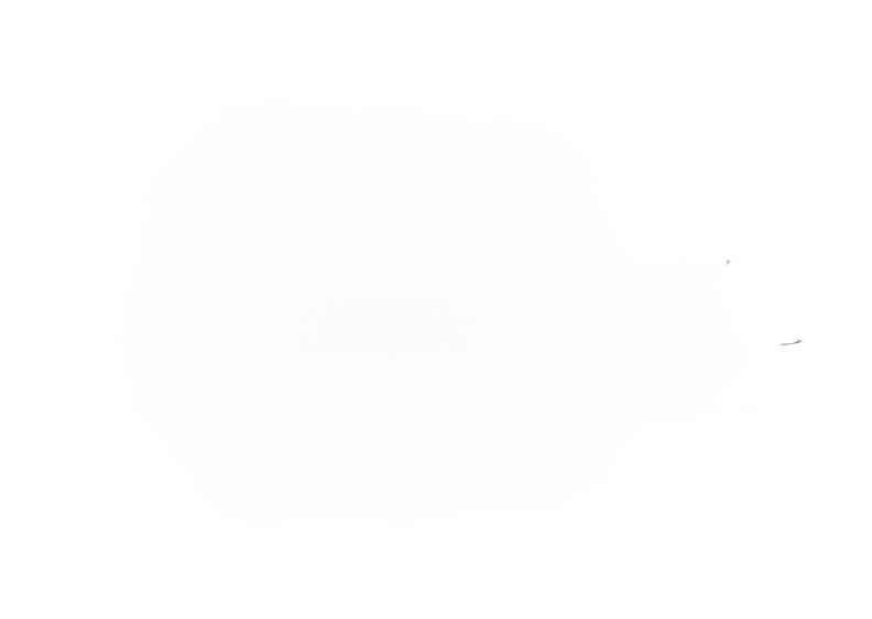 醉梦江湖
